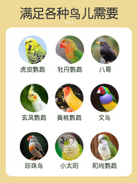Automatic Parrot Feeder Anti-Splash Bird Food Dispenser with Husk Separation for Outdoor Bird Cages