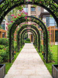 European Style Iron Archway Arbor for Climbing Plants, Garden Decoration