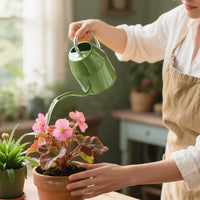 Long Spout Metal Watering Can for Indoor Outdoor Plants