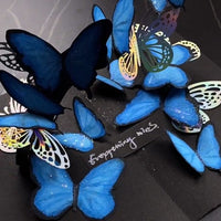 DIY 3D Butterfly Pop-Up Book Kit for Gifting