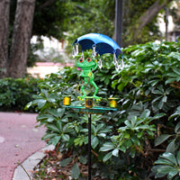 Outdoor Iron Bird Bath & Feeder with Garden Stake, Frog Design