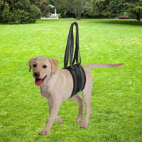 Dog Lift Harness for Senior, Injured, or Disabled Pets - Support Sling for Walking, Stairs, and Rehabilitation