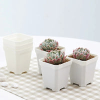 Thickened White Square Plastic Succulent Planter Pot for Seedlings and Cuttings