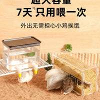 Quail Automatic Water Feeder and Food Dispenser with Anti-Scratch Trough