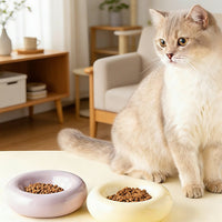 Donut Ceramic Pet Bowl for Cats - Anti-Tip Food and Water Dish