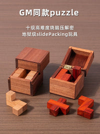 Hell Difficulty Puzzle Brain Teaser Building Blocks for Adults and Students
