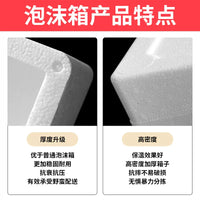 Insulated Foam Shipping Box for Cold Storage and Perishable Goods