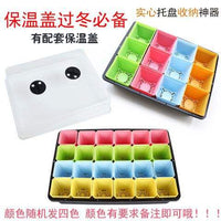 Rectangular Solid Plastic Succulent Planter with Drainage Tray or Seedling Cells