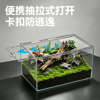 Transparent Acrylic Reptile and Insect Terrarium with Secure Latch