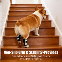 Reflective Dog Leg Brace for Joint Support and Protection