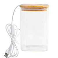 Glass Betta Fish Tank with LED Light for Desktop Micro-Landscape