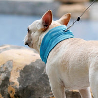 Pet Cooling Collar Scarf for Dogs Summer Heat Relief