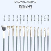 New Blue Bridge 15-Piece Soft Bristle Makeup Brush Set for Beginners