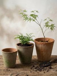 Handmade Terracotta Breathable Planter Pot for Succulents and Orchids