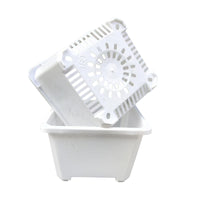 Square Plastic Succulent Planter Pots for Seedling and Desktop Green Plants