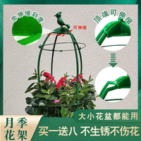 Garden Climbing Plant Support Trellis for Roses, Clematis, and Vines