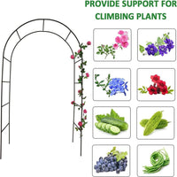 Metal Garden Arch Trellis for Climbing Plants, Roses, and Wedding Decorations