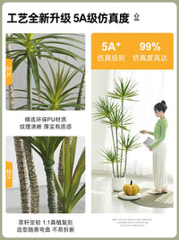 Artificial Dracaena Tree Faux Plant for Indoor Home Decor