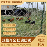 Galvanized Chain Link Fence for Poultry & Livestock Enclosures, Farm & Orchard Protection