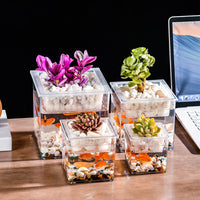 Miniature Creative Hydroponic Planter for Succulents and Micro-Landscape Office Decor