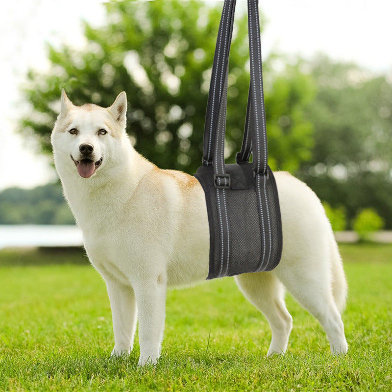 Pet Dog Rear Leg Support Harness for Injured or Disabled Dogs, Breathable Rehabilitation Aid Lift Sling