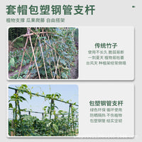 A-Frame Trellis Plant Support for Grapes and Climbing Plants, Coated Steel Tube Garden Frame