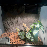 Reptile G9 Integrated Heating Lamp with Anti-Scald Net Cover for Lizards, Tortoises, and Turtles