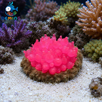 Glowing Coral Aquarium Decoration Silicone Fluorescent Reef Ornament for Fish Tank Landscape