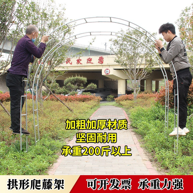 Heavy-Duty Metal Garden Arch for Climbing Plants, Roses, and Vines - Outdoor Trellis Support