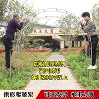 Heavy-Duty Metal Garden Arch for Climbing Plants, Roses, and Vines - Outdoor Trellis Support