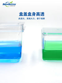 High Transparency Seed Sprouting Box with Humidity Dome for Enhanced Germination