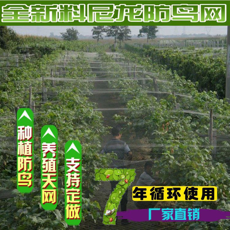 Nylon Bird Netting for Orchards and Fish Ponds, Anti-Cat Mesh for Grapes and Cherries