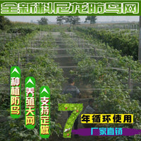 Nylon Bird Netting for Orchards and Fish Ponds, Anti-Cat Mesh for Grapes and Cherries