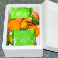 Ice Pack Reusable Cooler Bag for Food Delivery and Preservation - No Water Injection Needed