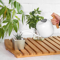Long Spout Watering Can with Wooden Handle, 1200ML Metal Indoor Watering Pot