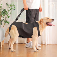 Dog Mobility Harness for Injured, Disabled, or Elderly Dogs
