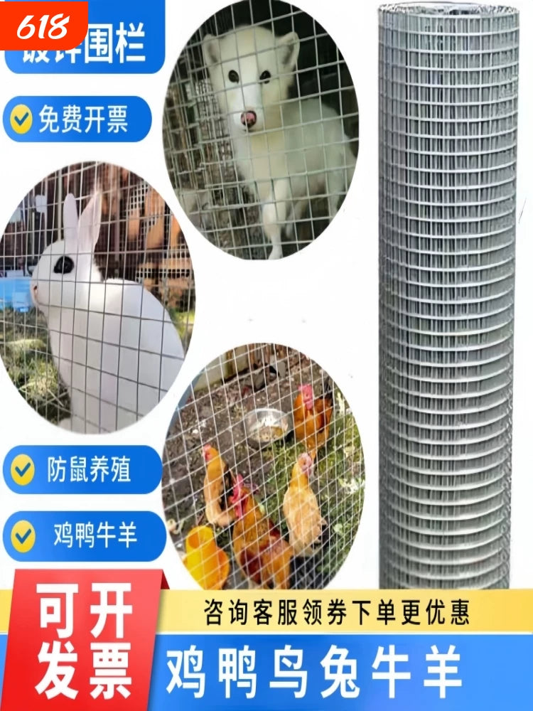 Galvanized Steel Wire Mesh for Poultry Fencing, Garden Barrier, Plastering, and Cages