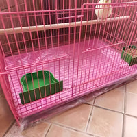Disposable Pet Cage Tray Liners for Birds and Dogs, 50-Count