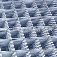 Galvanized Welded Wire Mesh Panel for Pigeon Breeding, Orchard Fencing, and Protection