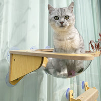 Glass Suction Cup Cat Climbing Frame Space Capsule Cat Bed Hanging Wall-Mounted No-Drill Cat Shelf Window Perch