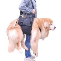Pet Dog Support Harness for Injured or Elderly Dogs - Mobility Aid for Back Legs