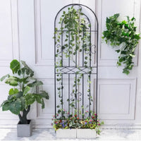 Wrought Iron Garden Trellis for Climbing Plants, Roses, Clematis, and Vines