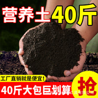Organic Potting Soil for Vegetables, Flowers, and Seedlings - Nutrient-Rich Black Soil Mix