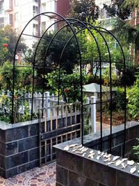 Rustproof Iron Arch Trellis for Climbing Plants, Roses, and Grapevines, Outdoor Garden Arbor