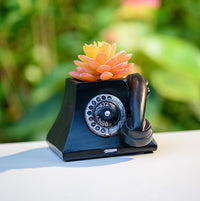 Creative Retro Telephone Succulent Planter Pot Desktop Ornament