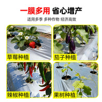 Silver-Black Agricultural Mulch Film for Watermelon Cultivation - Thickened, Insulating, Reflective, Weed Control