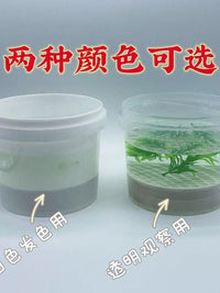 Turtle Hatchling Breeding Box with Lid and Filter Screen