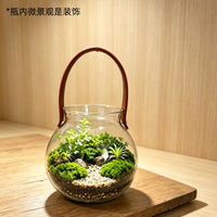 Leather Handle Glass Terrarium Vase for Hydroponics and Micro Landscape