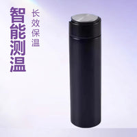 304 Stainless Steel Insulated Smart Temperature Display Touch Water Bottle