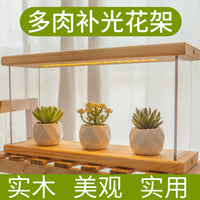 Wooden Succulent Plant Stand with Full Spectrum Grow Light for Indoor Desktop Display